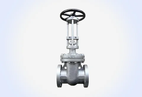 Valve Manufacturer and Supplier in Saudi Arebia USA and India